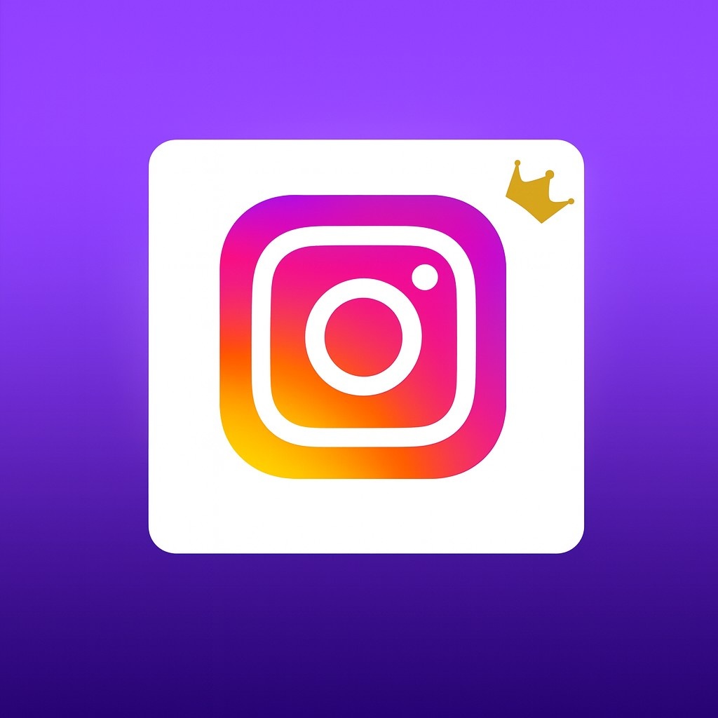 INSTAGRAM FOLLOWERS